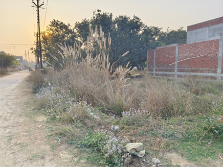 Residential Plots in Jungle Dhusan Phase 1 Gorakhpur